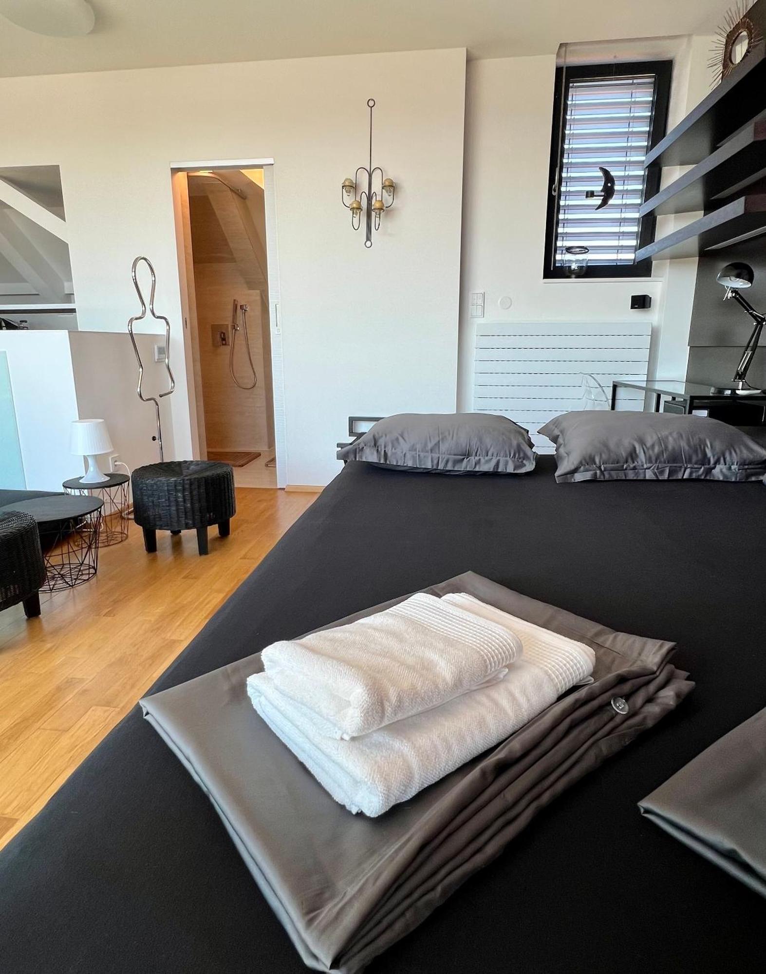 Apartman Se Saunou A Terasou S Vyhledem Na Μπρνο Εξωτερικό φωτογραφία